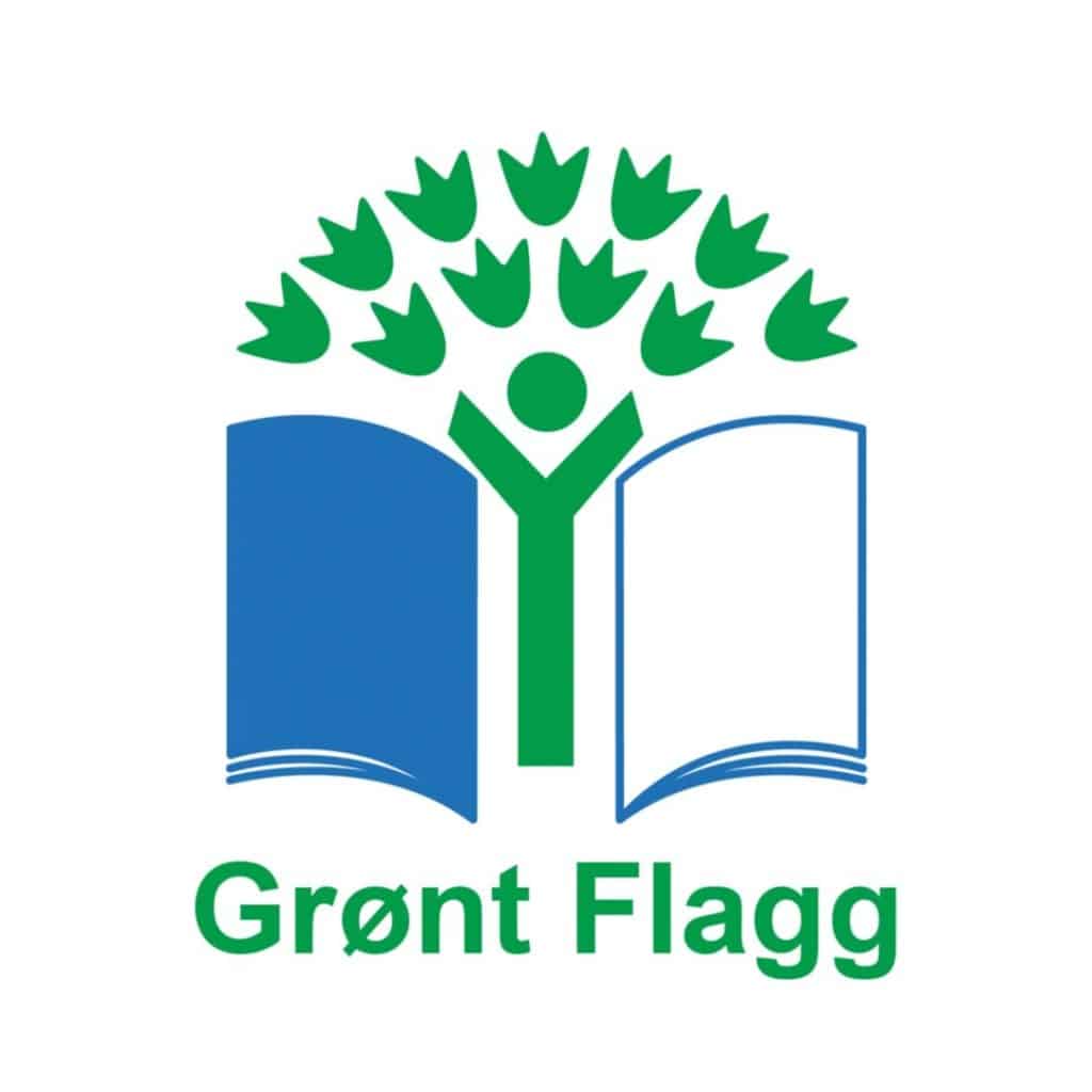 Grønt flagg